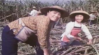 电影甜蜜的事业在线观看,浪漫喜剧的甜蜜邂逅 第2张 电影甜蜜的事业在线观看,浪漫喜剧的甜蜜邂逅 第2张